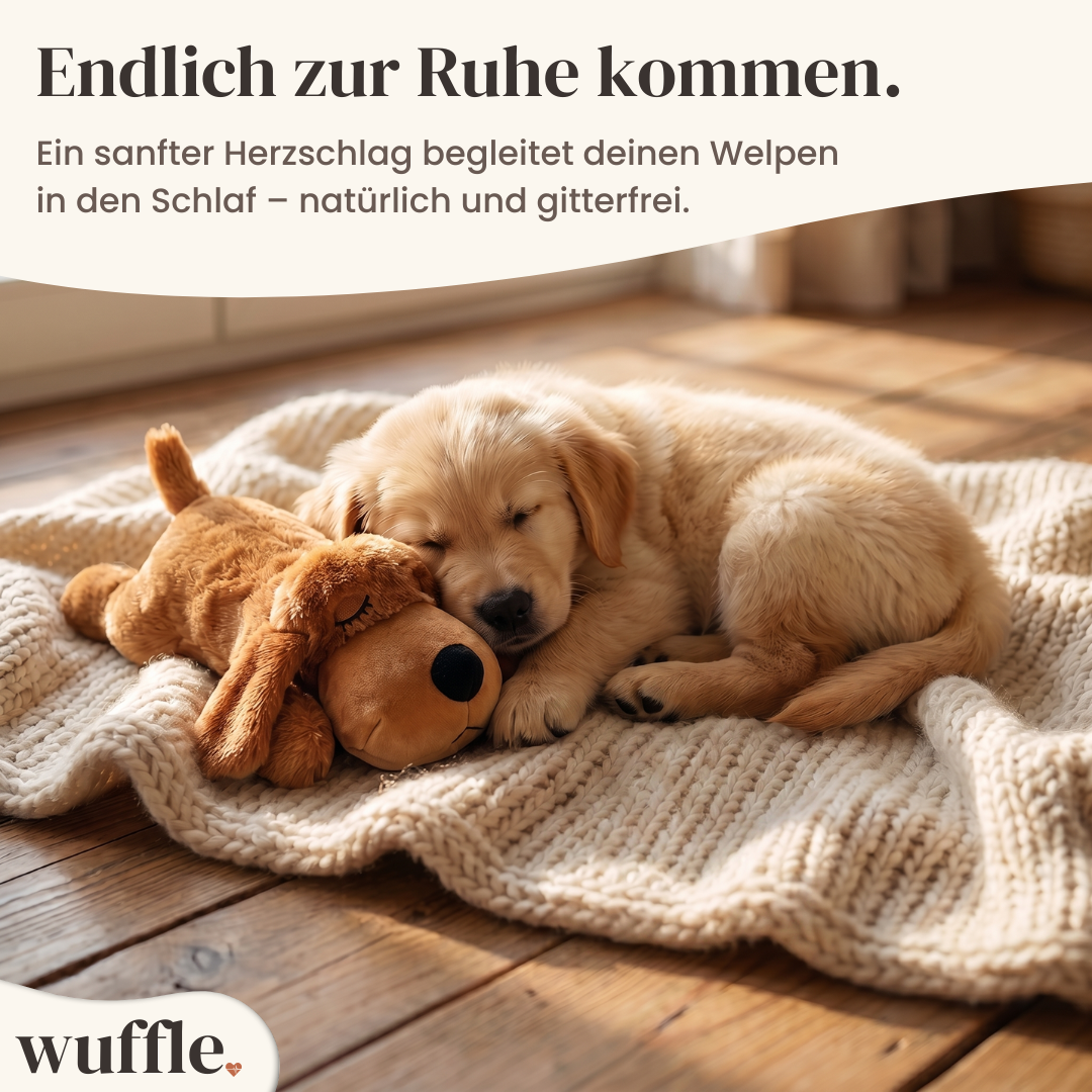 Wuffle™ Beruhigender Herzschlag